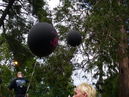 wost20071173.jpg
