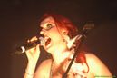 wgt_20087162.jpg