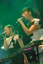 wgt_20087461.jpg