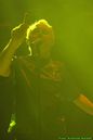 wgt_20087654.jpg