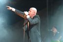 wgt_20087703.jpg