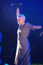 wgt_20090942.jpg