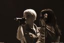 wgt_20090946.jpg