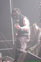wgt_20090983.jpg