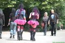 wgt_20090837.jpg