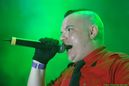 wgt_20091200.jpg