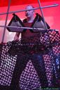 wgt_20091242.jpg