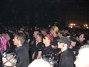 wgt_20090674.jpg