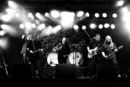 sgdn20103253.jpg