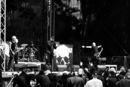 MHz_20103572.jpg