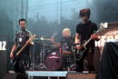 MHz_20103594.jpg