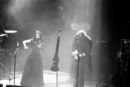 qntl20103984.jpg