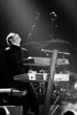 qntl20103990.jpg
