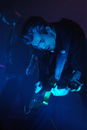 ppf_20104195.jpg