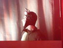 cop_20104256.jpg