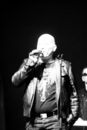 shm_20104274.jpg