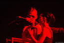 fod_20104770.jpg