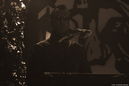 ando20104780.jpg