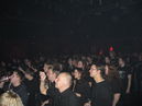 imp_20104739.jpg