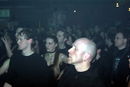 imp_20110378.jpg