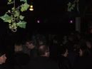 imp_20110623.jpg