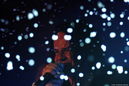 henk20111208.jpg