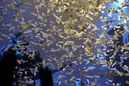 eisb20111801.jpg
