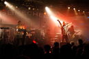 msh_20111790.jpg