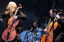 apo_20112115.jpg