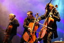 apo_20112125.jpg