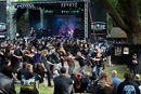 imp_20113451.jpg