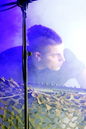 fla_20113796.jpg