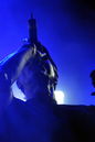 fla_20113805.jpg