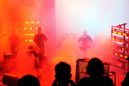 fla_20113810.jpg