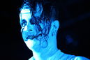 shy_20113747.jpg