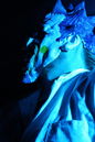 shy_20113748.jpg
