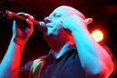vnv_20113880.jpg