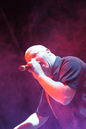 vnv_20113886.jpg