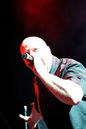 vnv_20113892.jpg