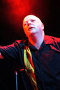 vnv_20113893.jpg