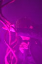 dod_20114235.jpg