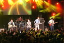 lpns20114613.jpg