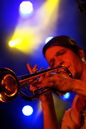 dmt_20114680.jpg