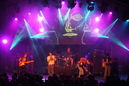 dmt_20114683.jpg