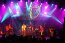 dmt_20114684.jpg