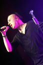 slfk20120238.jpg