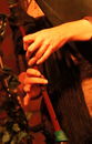 faun20120675.jpg