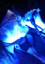 dstr20120833.jpg