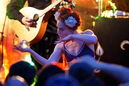 faun20121880.jpg