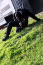 ppf_20122443.jpg